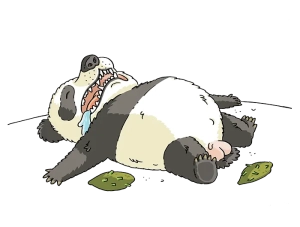 Enrico Macchiavello - Istinto del Panda